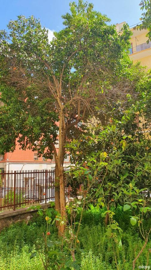 Star House - Bari Centro Apartment Ngoại thất bức ảnh